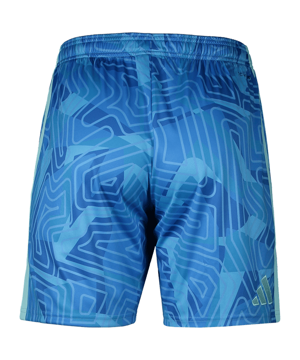 adidas 1. FC Nürnberg Torwartshort 2026/2027 Blau - blau