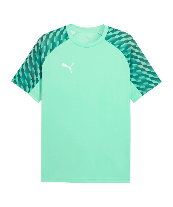PUMA teamLIGA26 Trikot Grün F80 - gruen