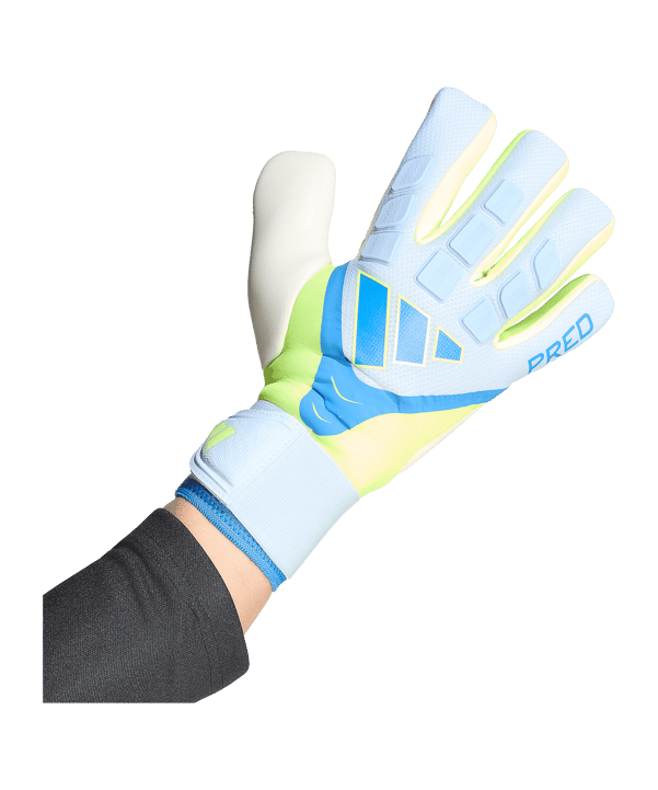 adidas Predator Competition Torwarthandschuhe Blau