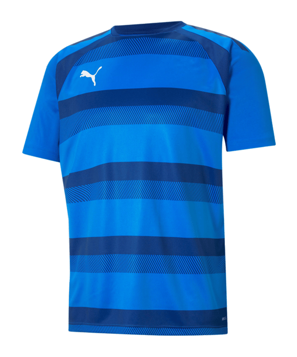 PUMA teamVISION Trikot Blau F02 - blau