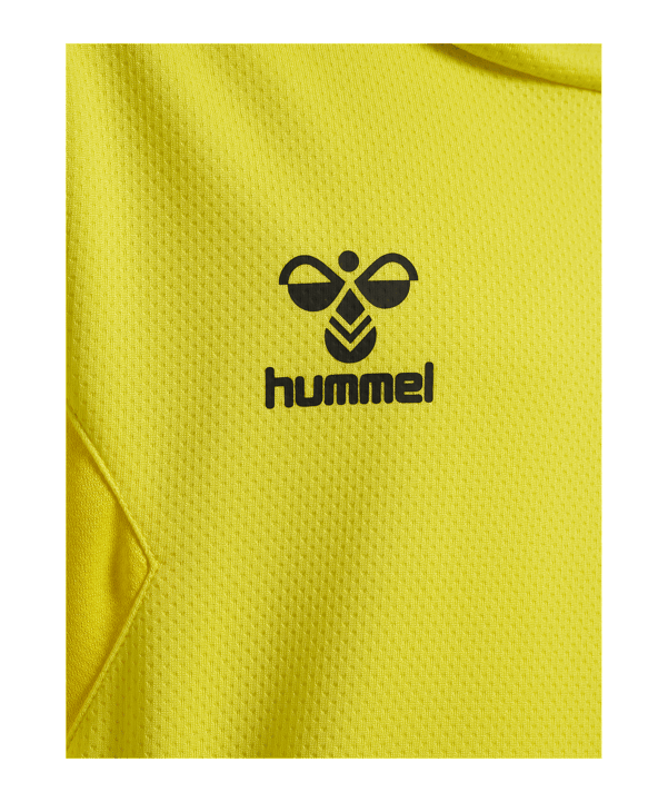 Hummel Authentic Pl Hoody Kids Gelb F5269 - gelb