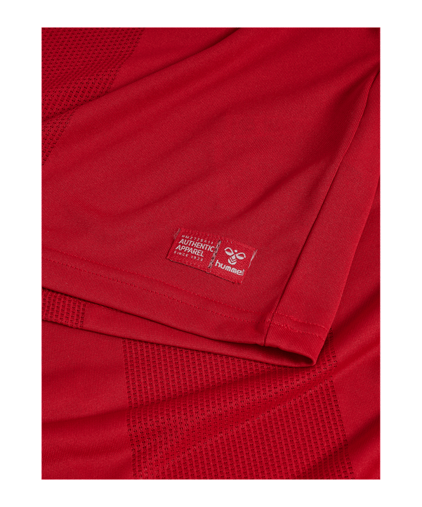 hummel DBU Trikot Home 2026 Rot F3365 - rot