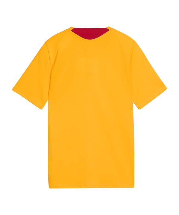 PUMA Galatasaray Istanbul Training Shirt Kinderen Orange K07 - oranje