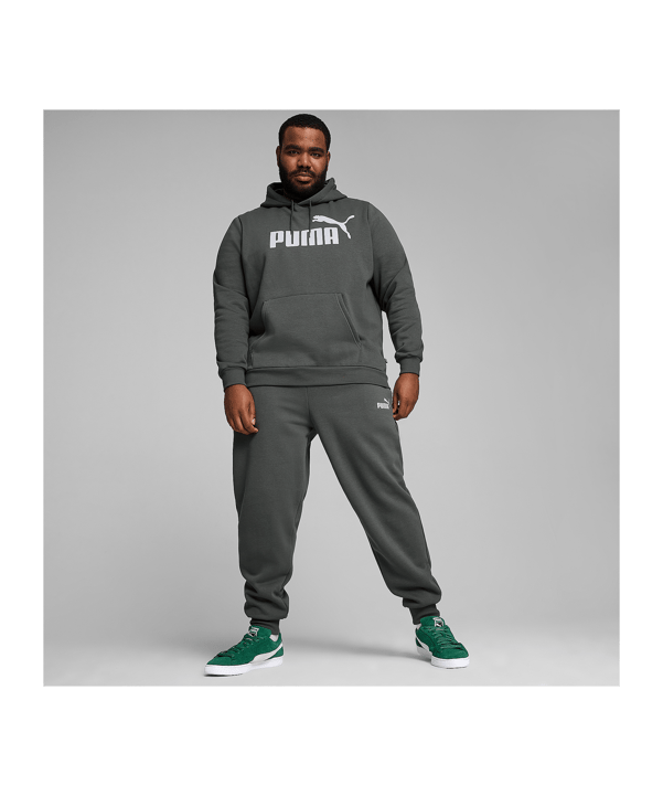 PUMA Essentials Big Logo Hoody Grau F069 - grau