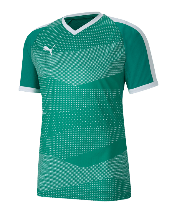 PUMA teamFINAL Indoor Trikot kurzarm Grün F05 - gruen