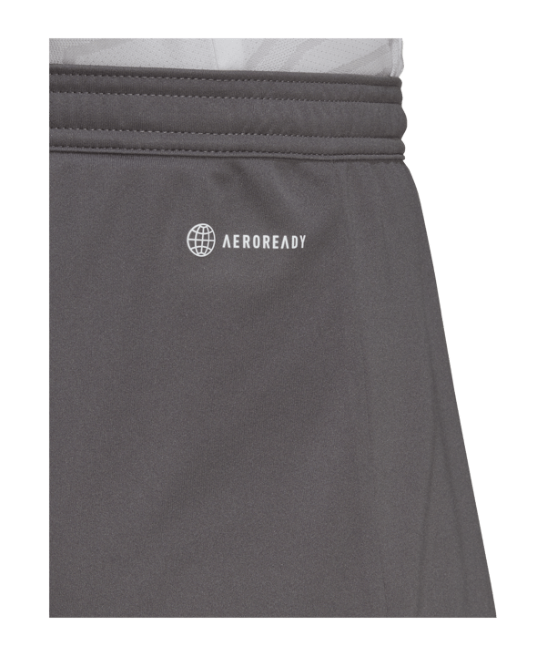 adidas Entrada 22 Short Grau - gruen