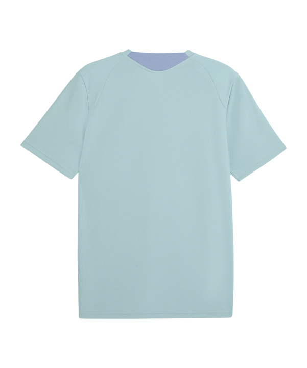 PUMA ÖFB Österreich Trainingsshirt Grün F10 - gruen