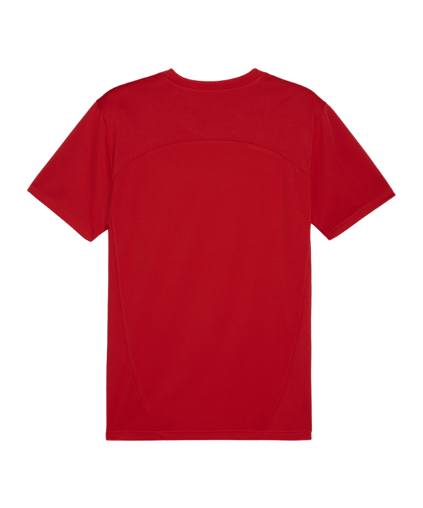 PUMA teamFINAL Trikot Rot F01 - rot