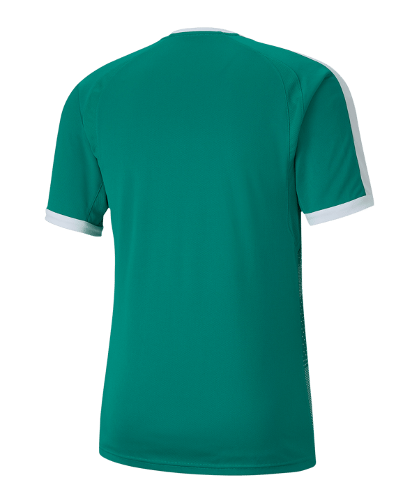 PUMA teamFINAL Indoor Trikot kurzarm Grün F05 - gruen