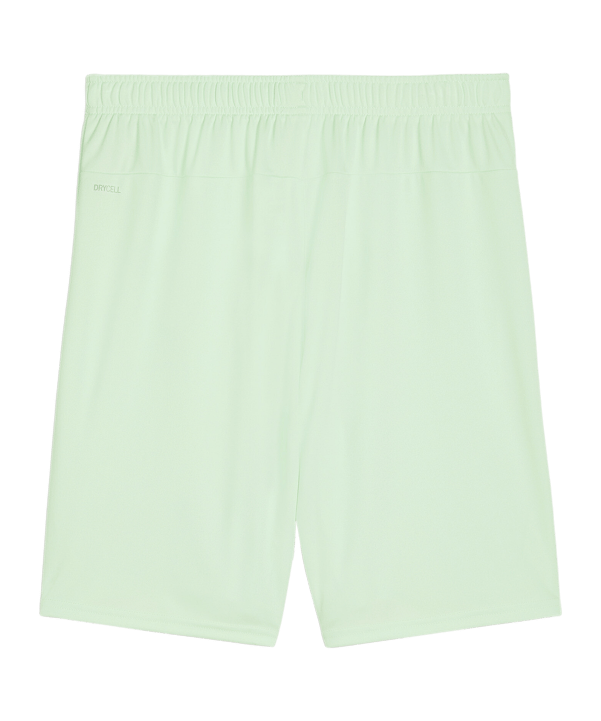 PUMA teamGOAL Short Grün Schwarz F60 - gruen