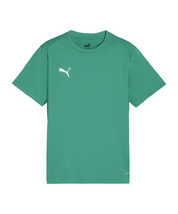 PUMA teamGOAL Trikot Kids Grün F05 - gruen