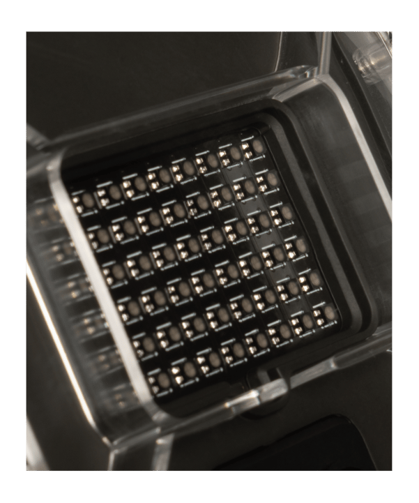 A-Champs ROX-ProX AC027 Dots 3er Set Schwarz - schwarz