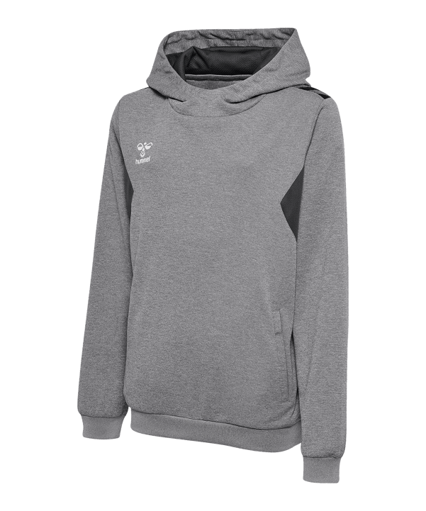 Hummel Authentic Pl Hoody Kids Grau F2006 - grau