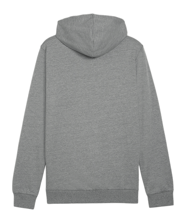 PUMA teamGOAL Casuals Hoody Grau F33 - grau