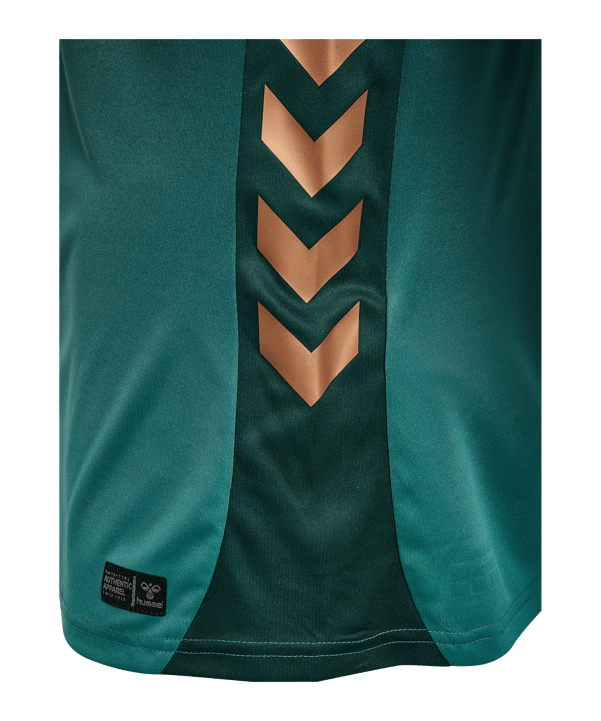 Hummel SV Werder Bremen Trikot 3rd 2025/2026 Grün F6108 - gruen