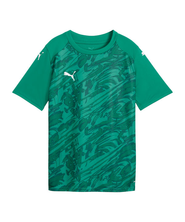 PUMA teamFINAL Graphic Trikot Kids Grün F05 - gruen