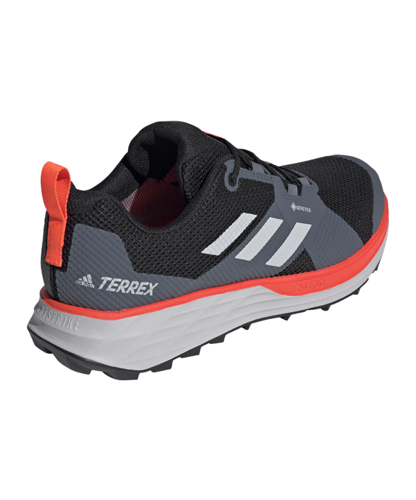 adidas Terrex Two Gore-Tex Running Schwarz - schwarz