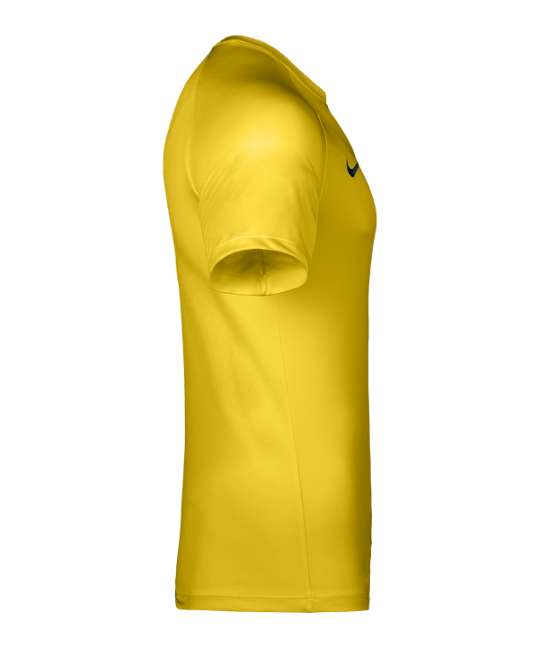Nike Park VIII Trikot Gelb F719 - gelb