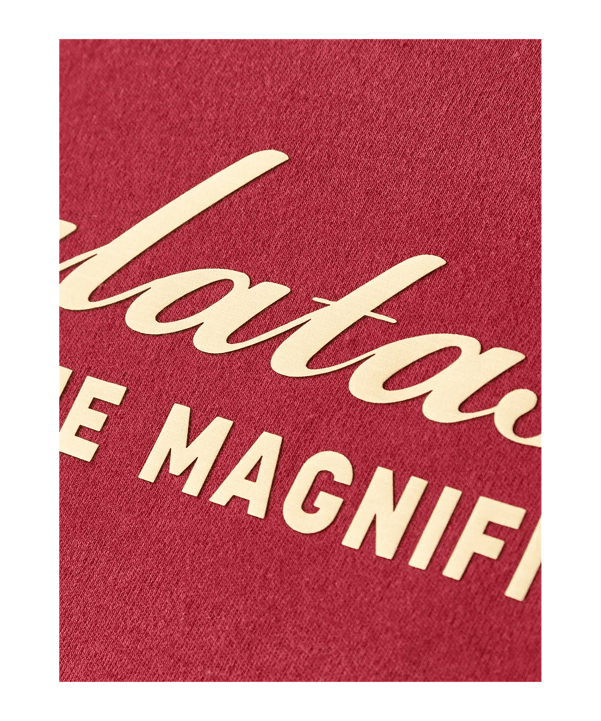 Galatasaray Istanbul T-Shirt Rot