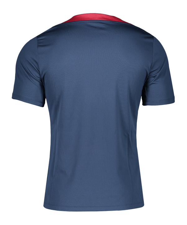 Nike Türkei Strike T-Shirt EM 2024 Grau Weiss F060 - grau
