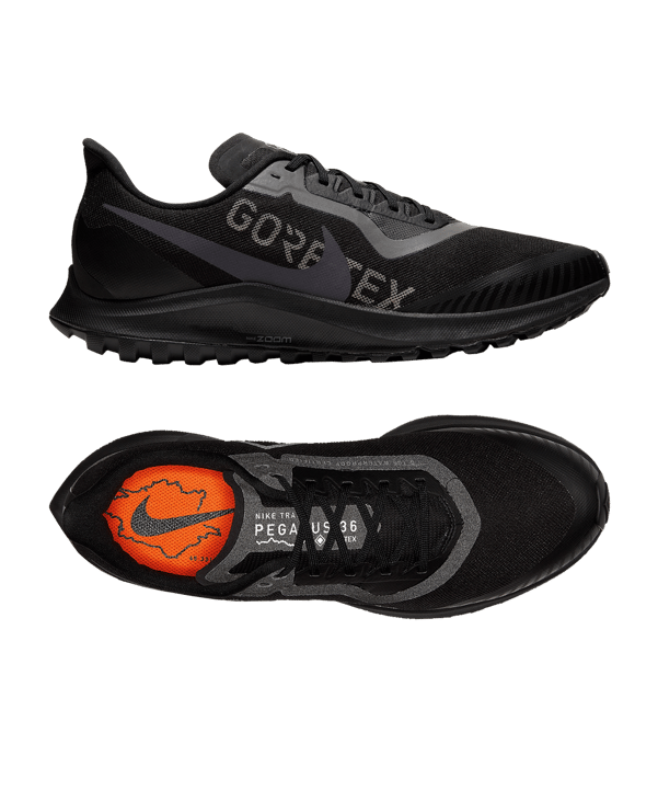 Nike Zoom Pegasus 36 Train GTX Running F001 - schwarz