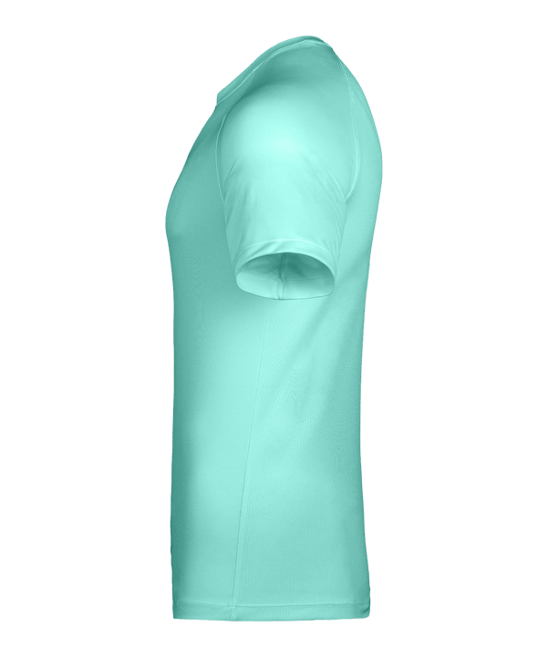 Nike Park VIII Trikot Türkis F354 - tuerkis