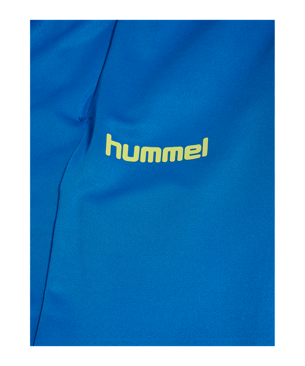 Hummel Blaze Pro Trainingshose Kids Blau F8650 - blau