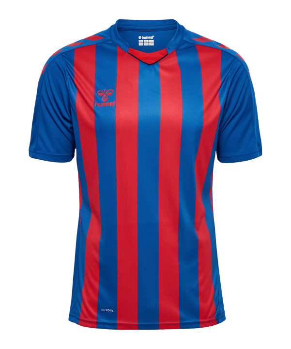 Hummel hmlCore XK Striped Trikot Blau F7358 - blau