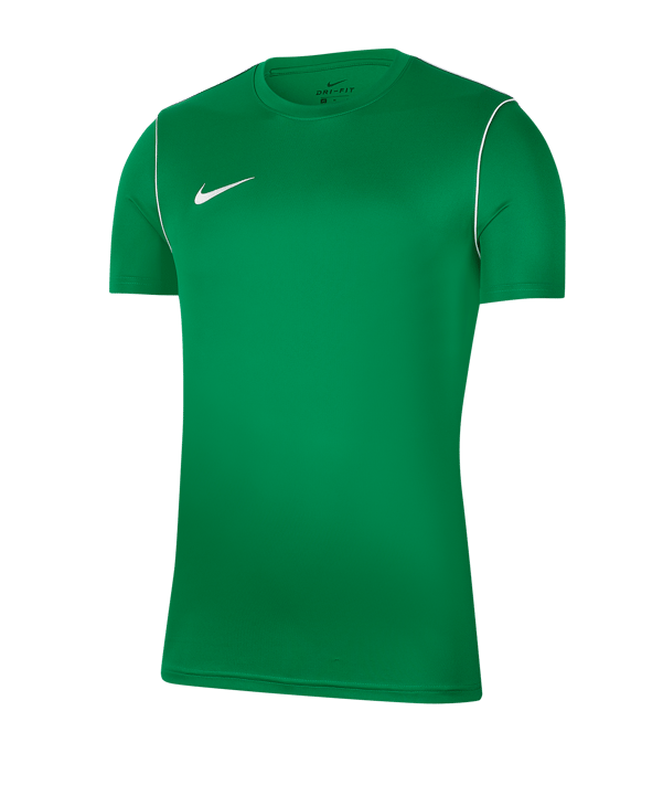 Nike Park 20 T-Shirt Kids Grün F302 - gruen
