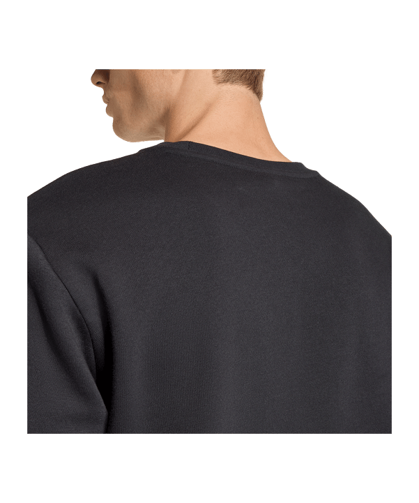 adidas Entrada 26 Sweatshirt Schwarz - schwarz