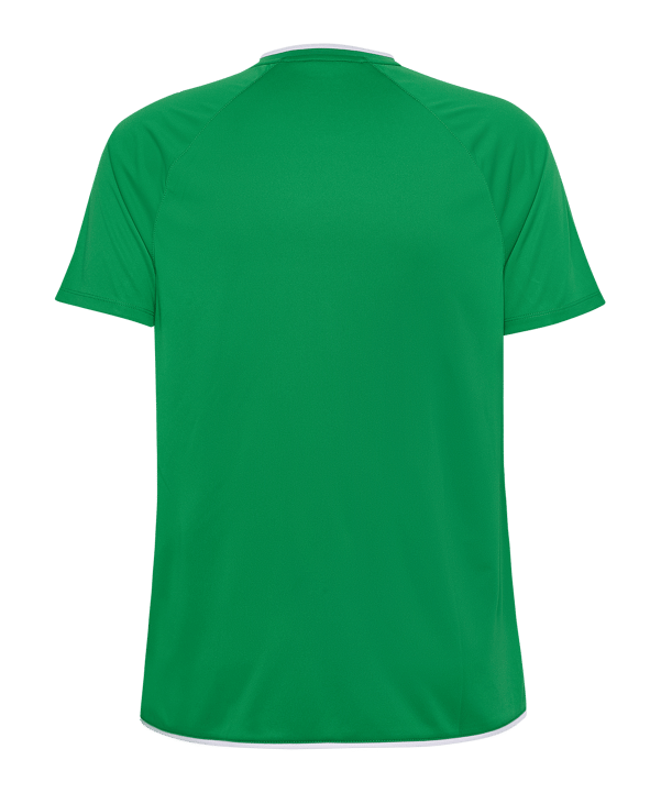 hummel Core 2.0 Trikot Grün F6129 - gruen
