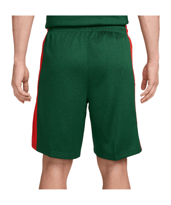 Nike Litauen Limited Road Short Olympia 2024 Grün F341 - gruen