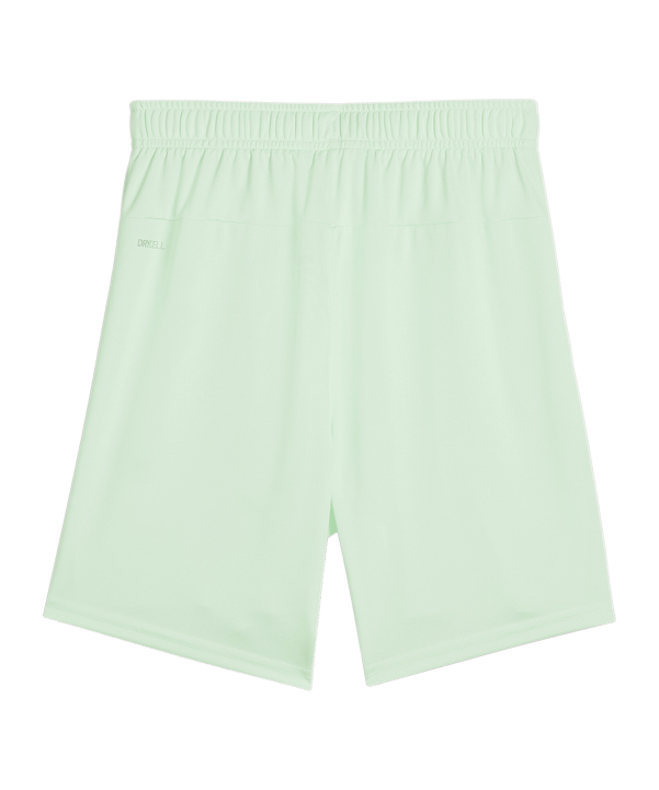 PUMA teamGOAL Short Kids Grün Schwarz F60 - gruen