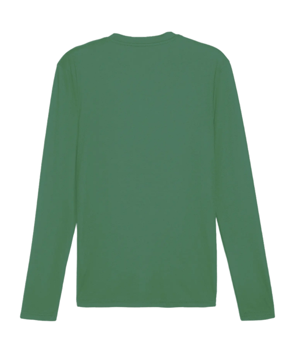 PUMA teamGOAL Baselayer Longsleeve Grün F05 - gruen