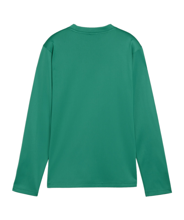 PUMA teamGOAL Training Sweatshirt Kids Grün F05 - gruen
