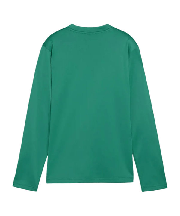 PUMA teamGOAL Training Sweatshirt Kids Grün F05 - gruen