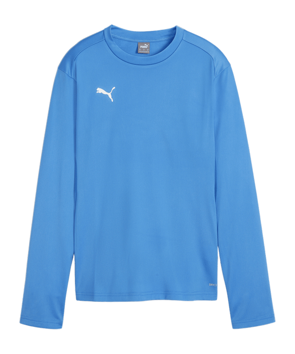 PUMA teamGOAL Training Sweatshirt Damen Blau F01 - hellblau