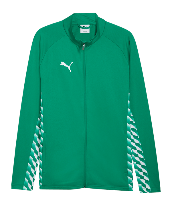 PUMA teamLIGA26 Trainingsjacke Grün F05 - gruen