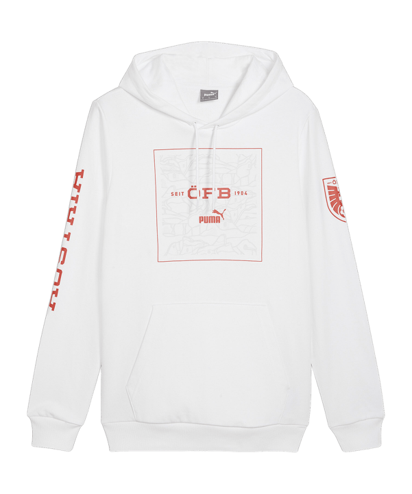 PUMA Österreich Ftbl Icons Hoody Weiss F09 - weiss