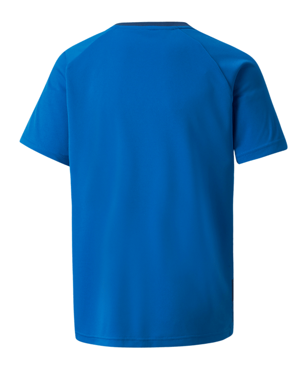 PUMA teamVISION Trikot Kids Blau F02 - blau