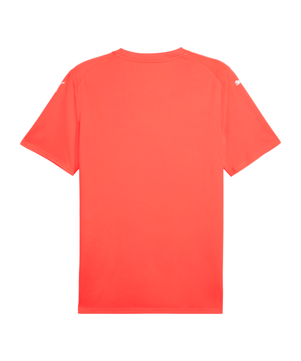 PUMA TeamFINAL Trikot Rot F42 - rot