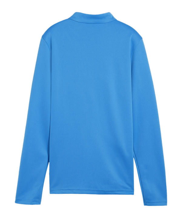 PUMA teamGOAL Training 1/4 Zip Sweatshirt D F02 - hellblau