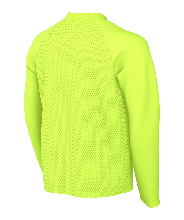 Nike Park VIII Trikot langarm Kids Grün F702 - gruen