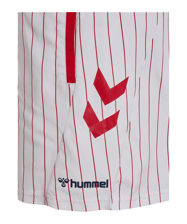 hummel DBU Fan Badehose 2026 Weiß F9001 - weiss