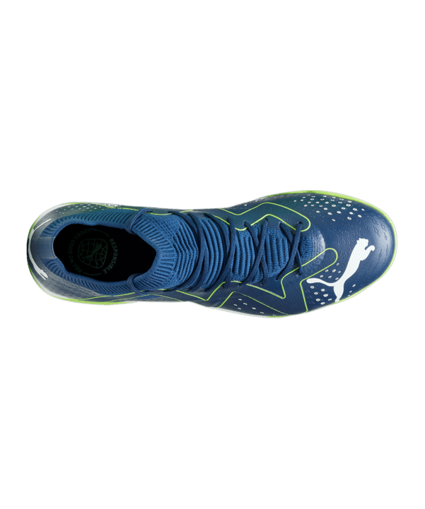 PUMA FUTURE Match IT Halle Gear Up Blau Weiss F03