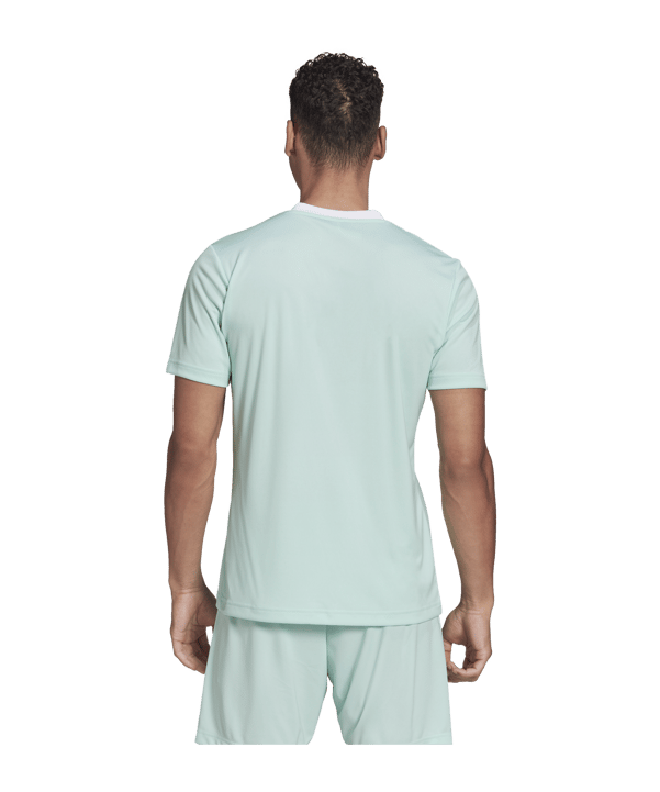 adidas Entrada 22 Trikot Türkis Weiss - tuerkis