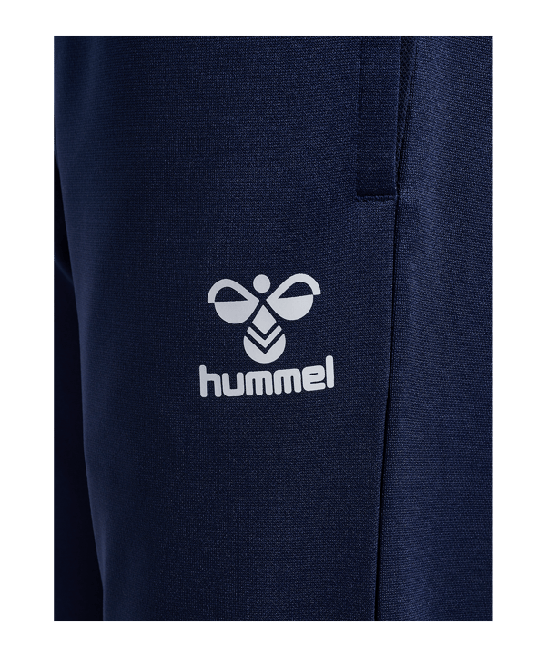Hummel Essential Trainingshose Kids Blau F7026 - blau