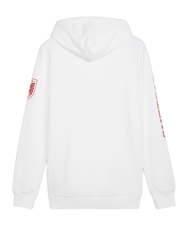 PUMA Österreich Ftbl Icons Hoody Weiss F09 - weiss