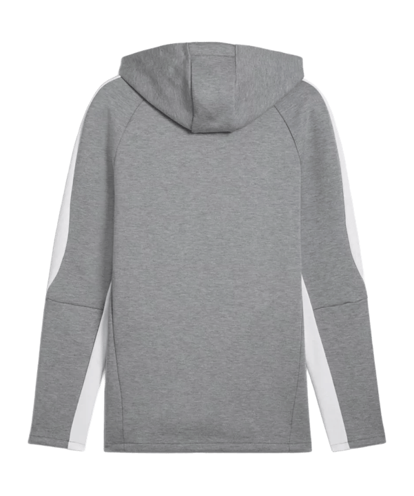 PUMA teamEVOSTRIPE Hoody Grau F33 - grau