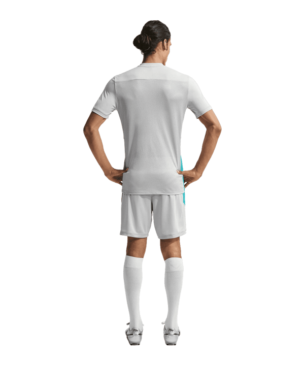 Nike Academy Maglietta da Allenamento Grigio C012 - grigio